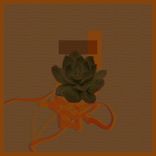 Artwork for "Digital Consciousness"