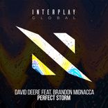 Artwork for "Perfect Storm"