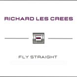 Artwork voor "Fly Straight"