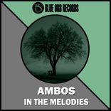 Portada para "In The Melodies"