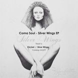 Artwork for "Silver Wings EP"
