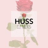 Artwork for "Huss"
