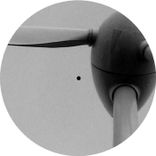 One Of Those Füchse