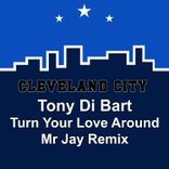 Portada para "Turn Your Love Around"