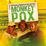 Artwork for "Monkey Pox"