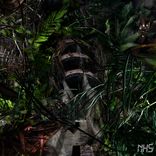 Artwork for "Des Grains"