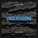 Portada para "Underground"