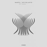 Artwork for "Into the Light"