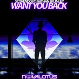Artwork for "Want You Back"