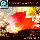 Artwork für "Electric Wave"