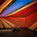 Artwork voor "Back To You (Original & Night Mix)"