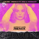 Artwork for "Prove It (Adrian Ams Remix)"