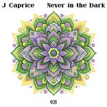 Artwork für "Never In The Dark"