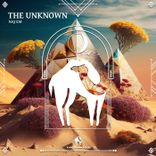 The Unknown