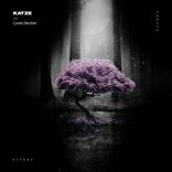 Artwork for "Conte Déchiré"