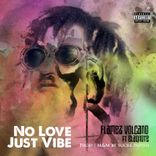 Artwork voor "No Love Just Vibe"