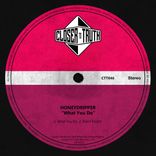 Artwork for "What You Do"