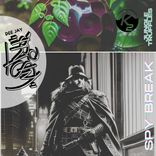 Artwork für "Spy Break"