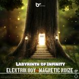 Artwork for "Labyrinth of Infinity"