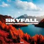 Artwork for "Skyfall"