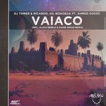 Artwork for "Vaiaco"