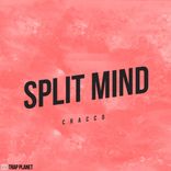 Artwork voor "Split Mind"