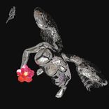 Artwork for "Hunting Flowers"