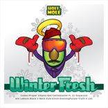 Artwork for "Winter Fresh Compilation"