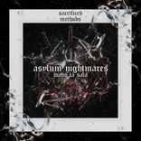 Artwork voor "Asylum Nightmares"