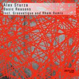 Portada para "Basic Reasons"