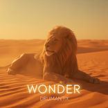 Artwork for "Wonder"