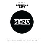 Artwork for "Breaking Love"