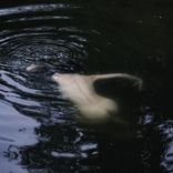 Artwork voor "Bad Encounters EP"