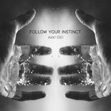 Artwork voor "Follow Your Instinct"