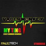 Artwork for "My Ting (VaderMonkey's 2022 Summer Rework)"