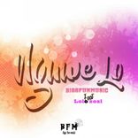 Artwork for "Nguwe Lo"