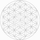 Artwork voor "8 Colors"