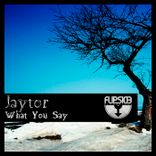 Portada para "What You Say"