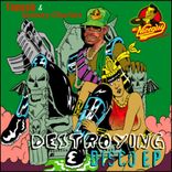 Artwork für "Destroying Disco EP"