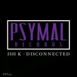 Artwork voor "Disconnected"