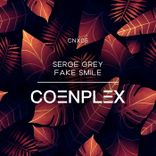 Artwork for "Fake Smile"