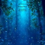 Artwork for "Enchantment / Nun Parl 'E Me"