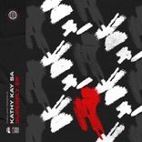 Portada para "Superfly"