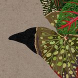 Artwork for "@0 EP2"