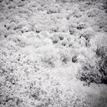 Waveshaper (Aerobic Edit)