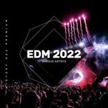 Artwork for "EDM 2022"