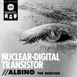 Artwork for "Albino The Remixes"