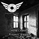 Artwork voor "Project Aleppo"