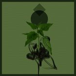 Artwork for "Delusion March"