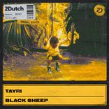 Artwork for "Black Sheep"